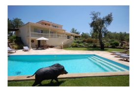 Just , Rentals in - Villa Camelia